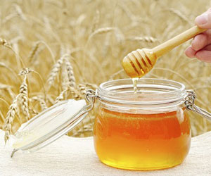 蜂蜜水减肥法的原理是什么_蜂蜜水减肥法具体怎么做