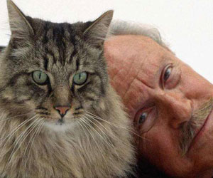 撸猫缓解老年痴呆 英国专家：撸猫能够刺激大脑缓解记忆衰减