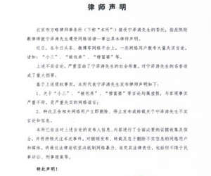网传宁泽涛被包养 宁泽涛反手一张律师声明