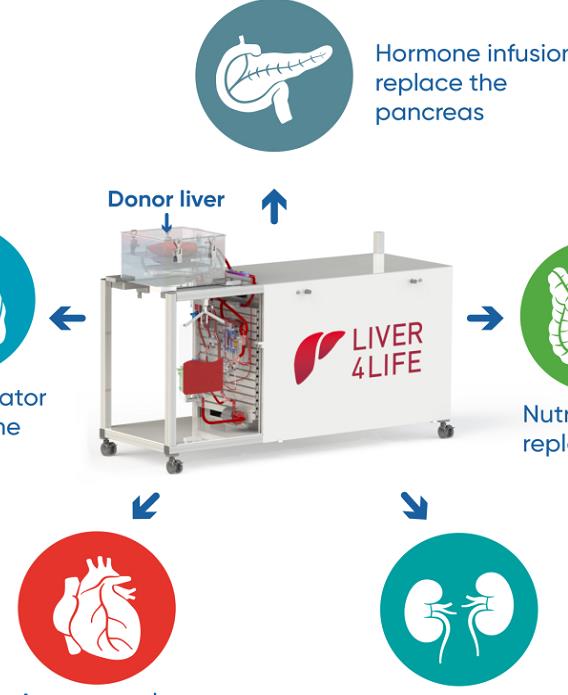 新技术使肝脏可体外存活