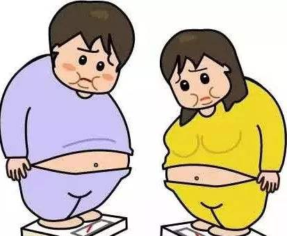 怎样改变易胖体质