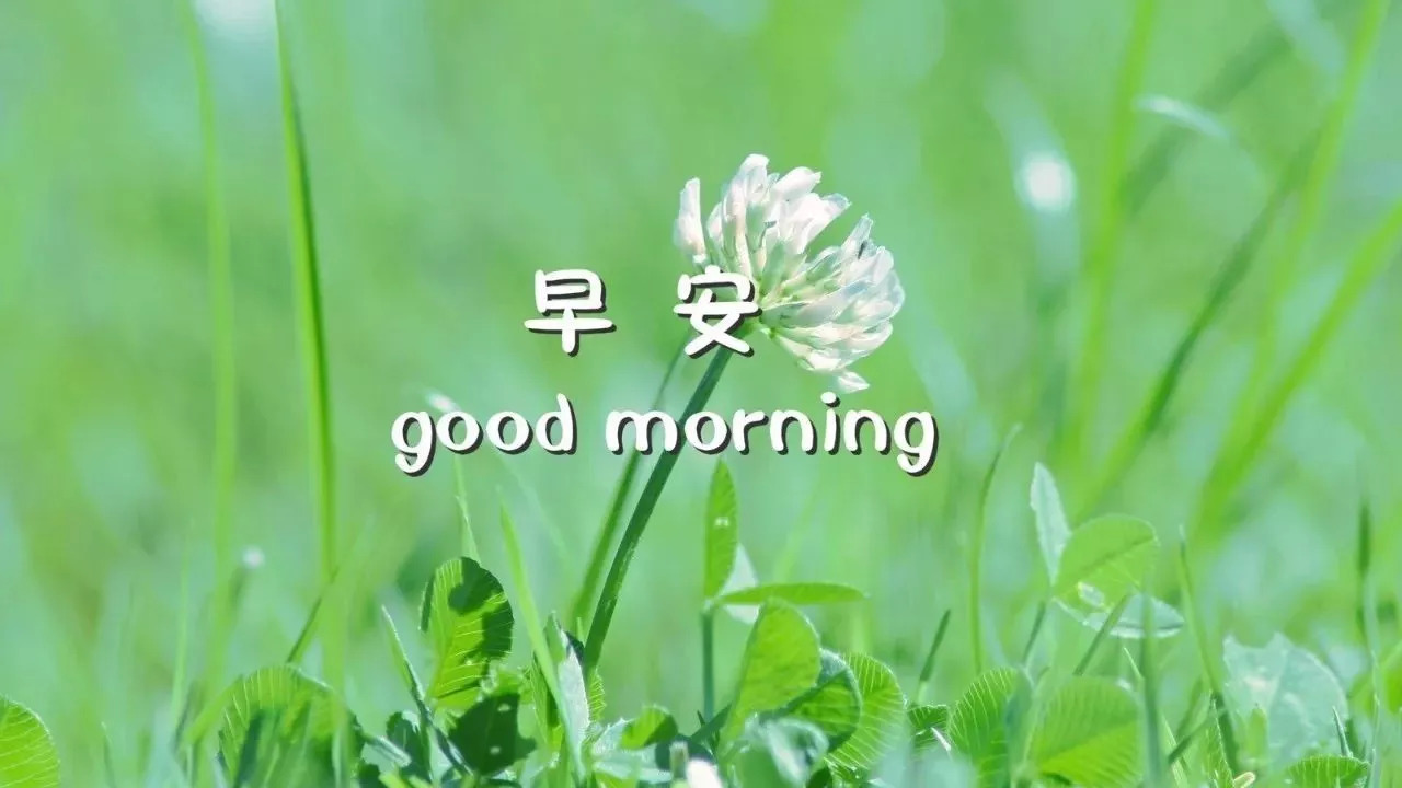 ʮ簲̾ | 2018糿ʺͼƬ