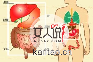 你知道你的胃在哪吗?来看看胃在哪个位置图